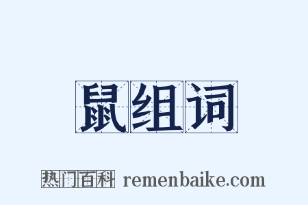 鼠组词是什么意思的图片